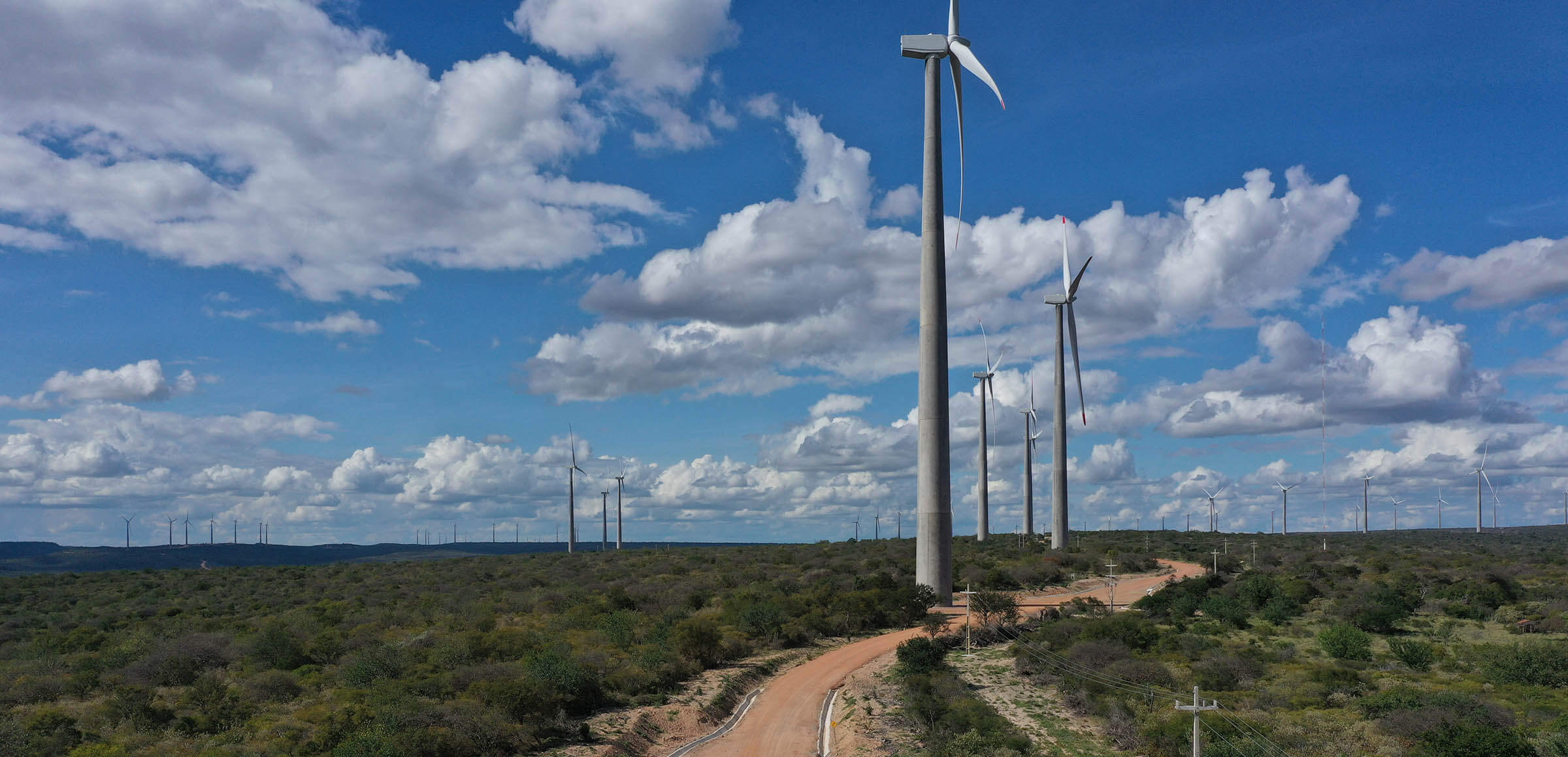 South America's largest wind farm starts producing electricity
